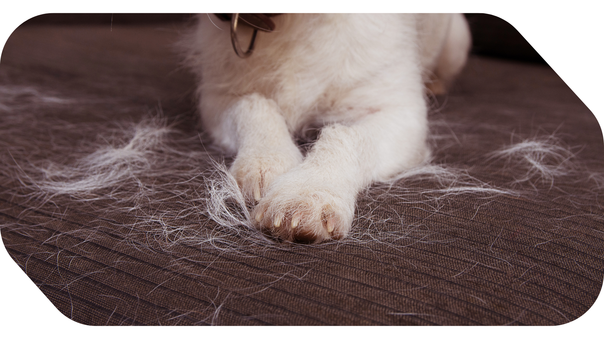 Massachusetts car detail in MA | car truck rv and boat detailing and ceramic coating