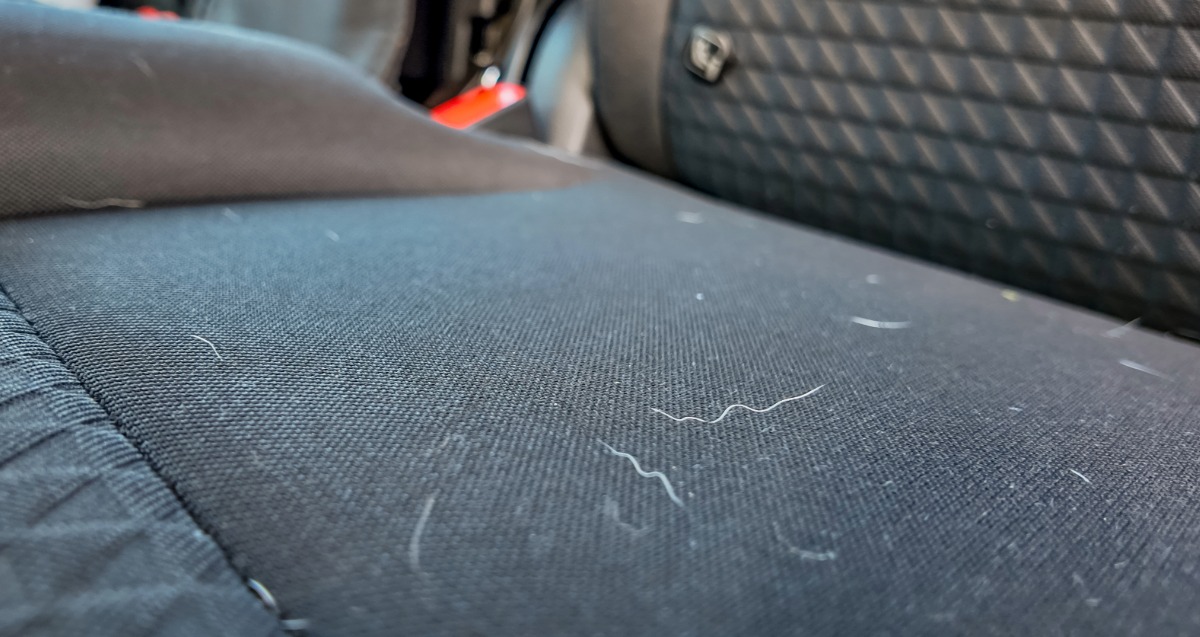 Pet Hair Removal for Cars | Rockland, MA Detail Experts